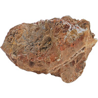 Aquariumsteen Maple Leaf Rock 10,5 x 15 x 11 cm | decoratie voor aquarium en terrarium