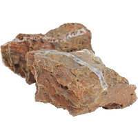 Aquariumsteen Maple Leaf Rock 10,5 x 15 x 11 cm | decoratie voor aquarium en terrarium
