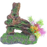 Boomstronk + Mos En Plant