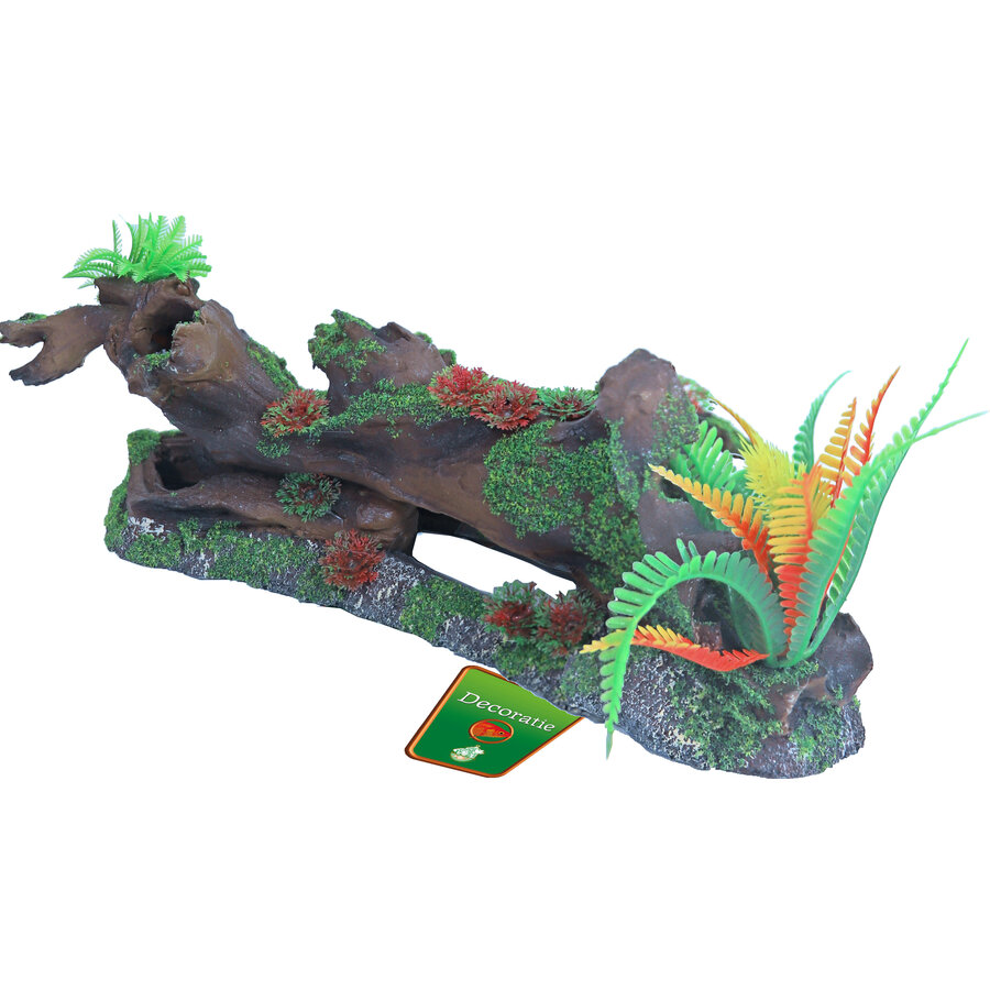 Boomstronk + Mos En Plant