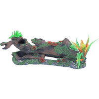 Boomstronk + Mos En Plant