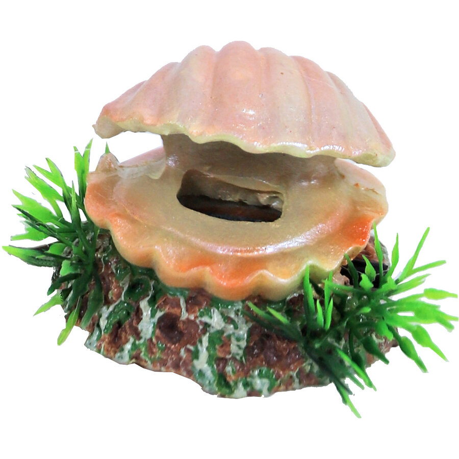Aquarium schelp ornament met luchtuitstromer | 5,5 cm | bubbeleffect