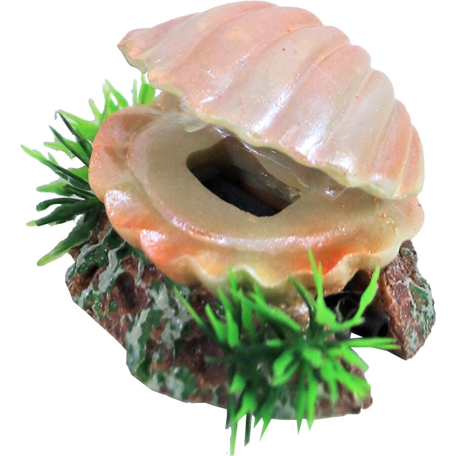 Aquarium schelp ornament met luchtuitstromer | 5,5 cm | bubbeleffect