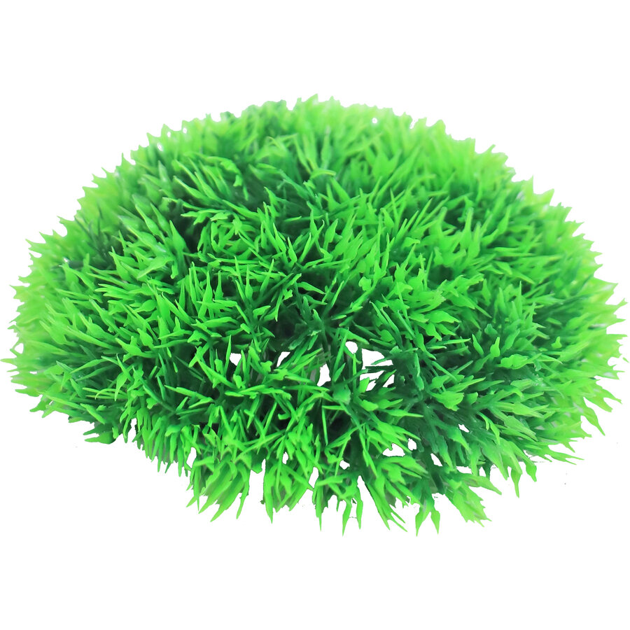 Greenmoss Halve Bol + Uitstromer