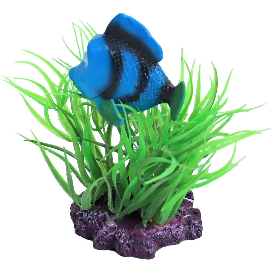 Aquarium ornament plant met doktersvis | 10 cm | schuilplek