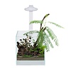 Bio Air Tank White | 20 x 20 x 20CM