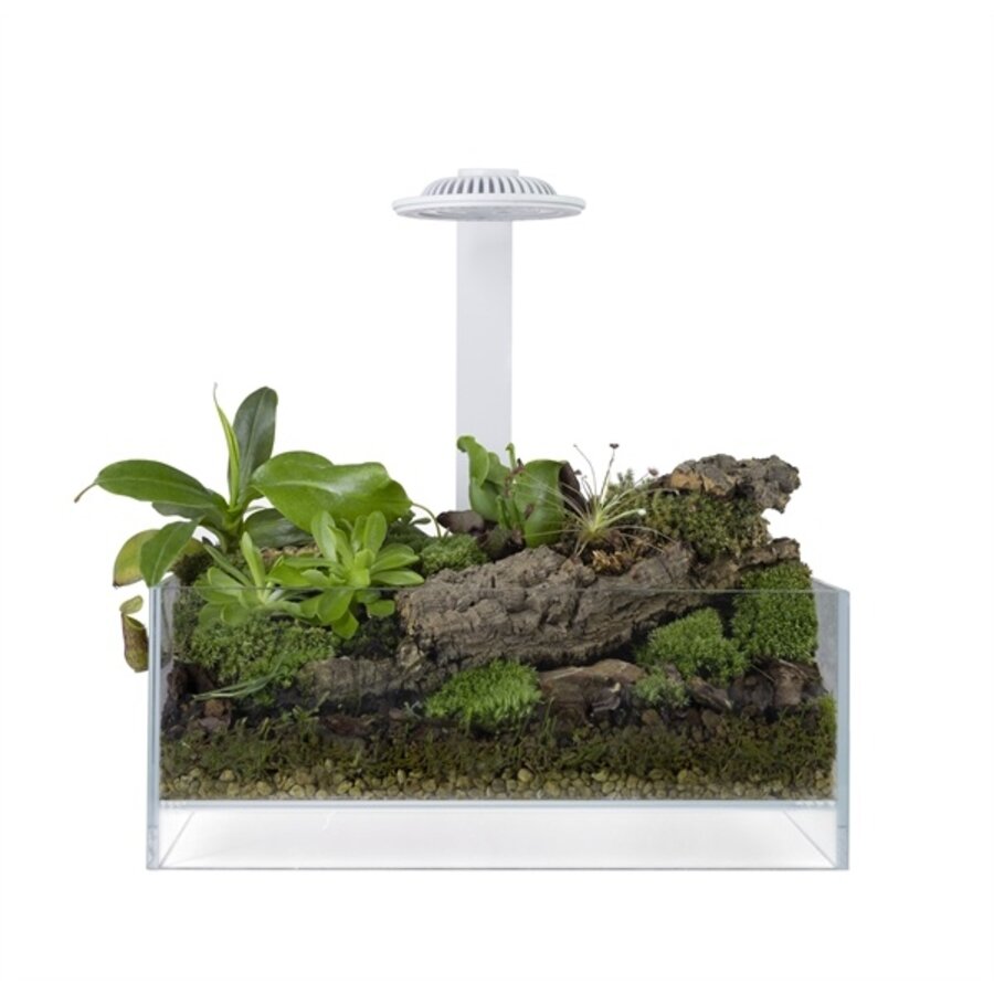 Bio Air tank wit 20 x 20 x 8 cm met LED-verlichting voor Wabi Kusa miniatuurtuin