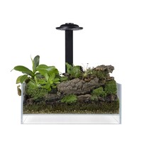Bio Air Tank zwart 20 x 20 x 8 cm met LED