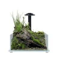 Bio Tank plantenterrarium zwart 32 x 32 x 14 cm met LED