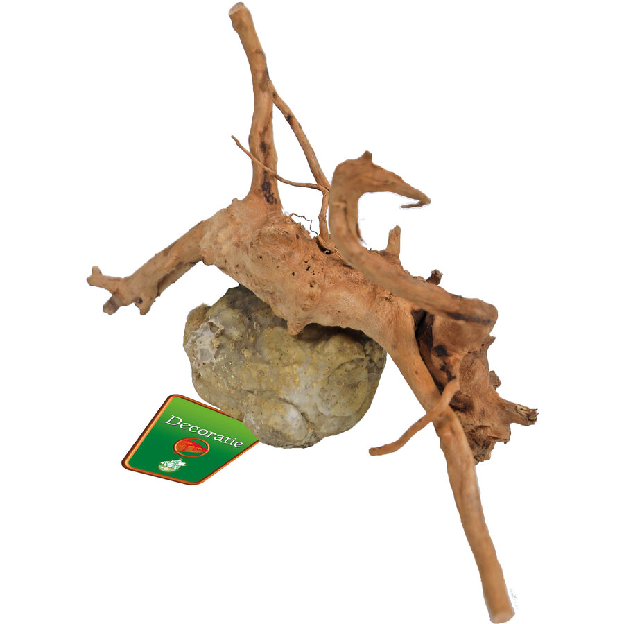 Spiderwood met rots | natuurlijk aquarium ornament | 10-20 cm