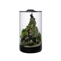 Bio Cylinder 200 incl. LED zwart | 20,2 x 34,3 cm plantterrarium
