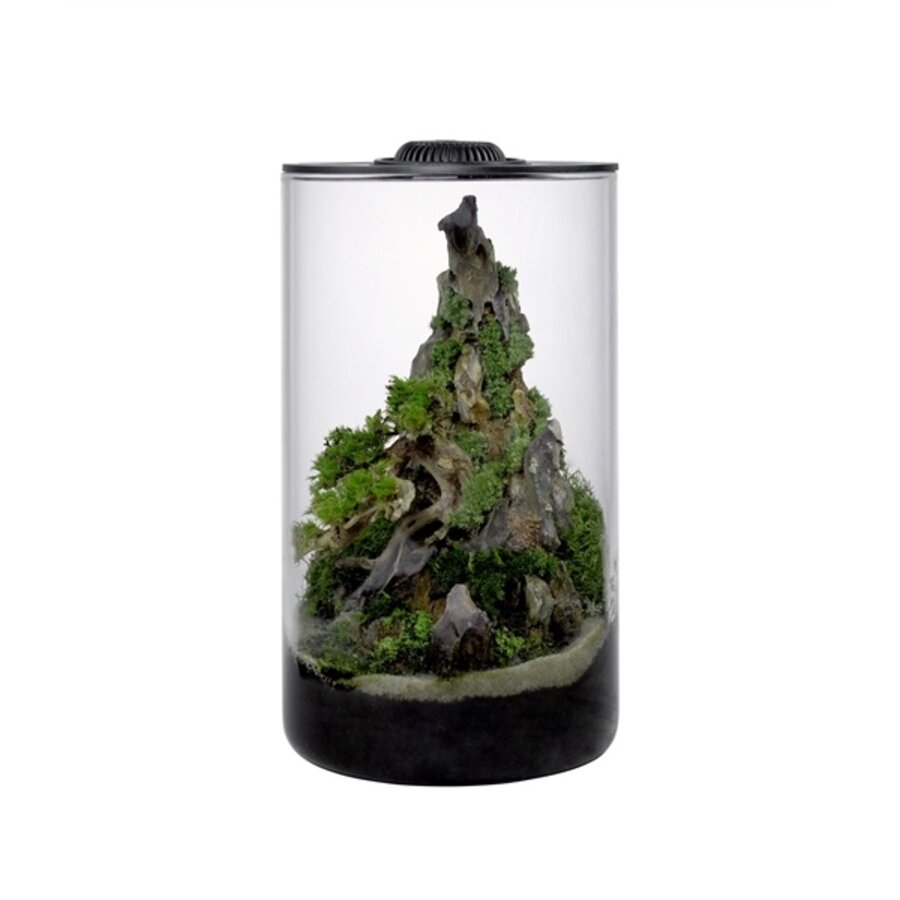 Bio Cylinder 200 incl. LED zwart | 20,2 x 34,3 cm plantterrarium