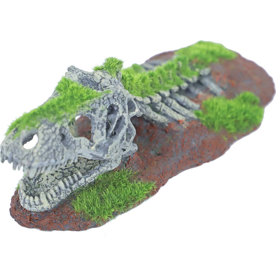 Dinosaurus skelet aquarium ornament | 21×9 cm | schuilplek