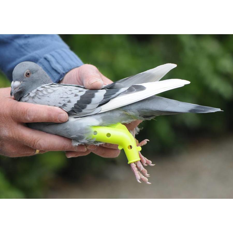 Prothese voor duiven en andere vogels