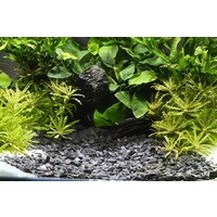 Natural Gravel Kongo 5KG