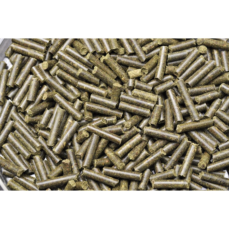 Shrimp King Protein 30 Gram