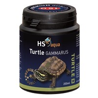 Turtle Gammarus