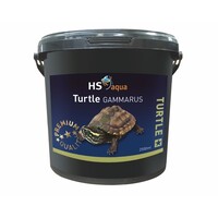 Turtle Gammarus