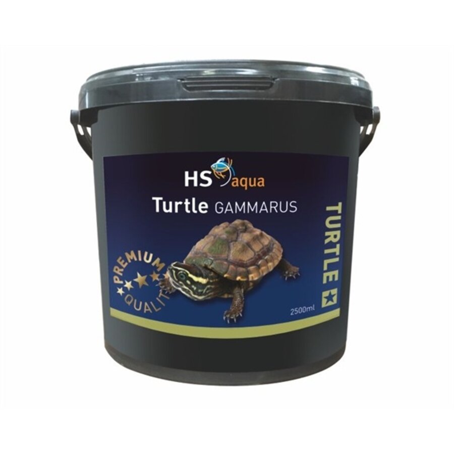 Turtle Gammarus