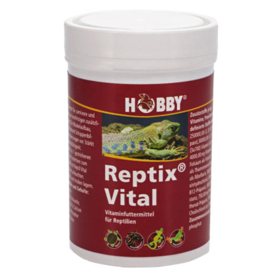 Terrano Reptix Reptix Vital 120 Gram