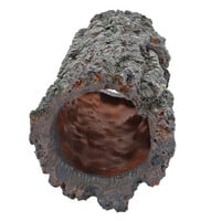 Decoratie Bark Hole | natuurlijke boomschors schuilplaats 23,5 x 9,5 x 9,5 cm voor aquarium en terrarium