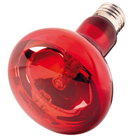 Infraredlight Eco infrarood warmtelamp voor terrariumdieren 28W 42W 70W