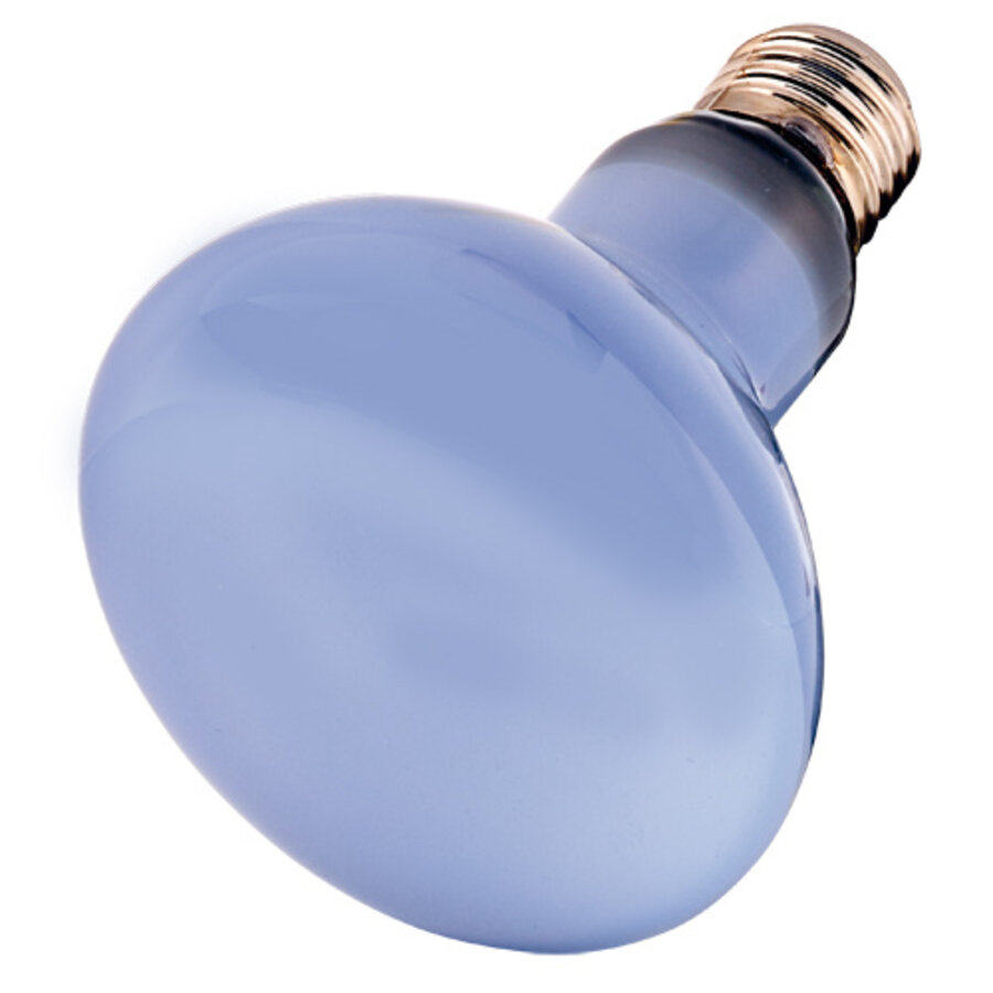 Neodymium Daylight Eco terrariumlamp daglicht halogeen UVA 28W | 42W | 70W | 108W