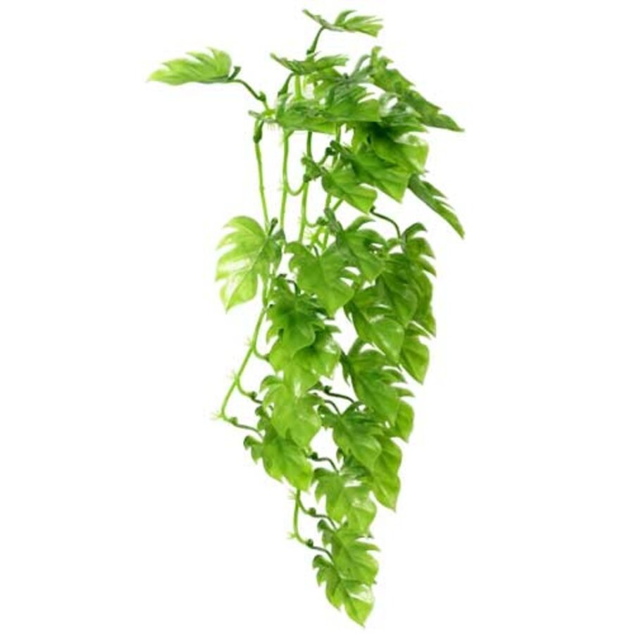 Climber Philo hangende terrariumplant voor reptielen 37 | 70 cm