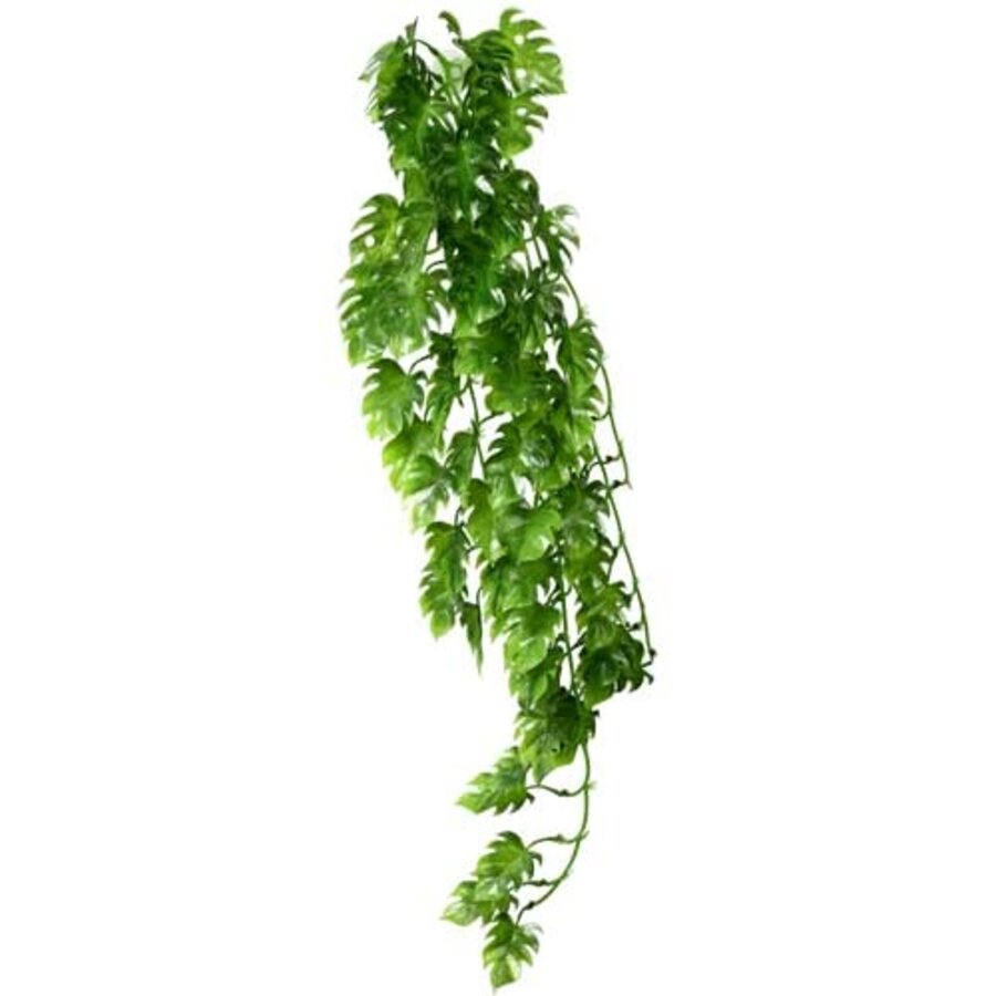 Climber Philo hangende terrariumplant voor reptielen 37 | 70 cm
