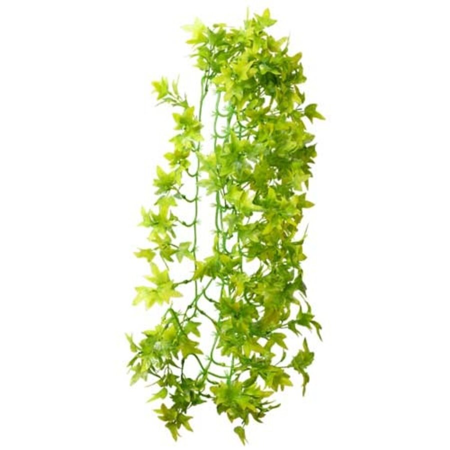 Terrarium klimplant Ivy hangend 37 of 70 cm imitatieplant met zuignap