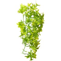 Terrarium klimplant Ivy hangend 37 of 70 cm imitatieplant met zuignap
