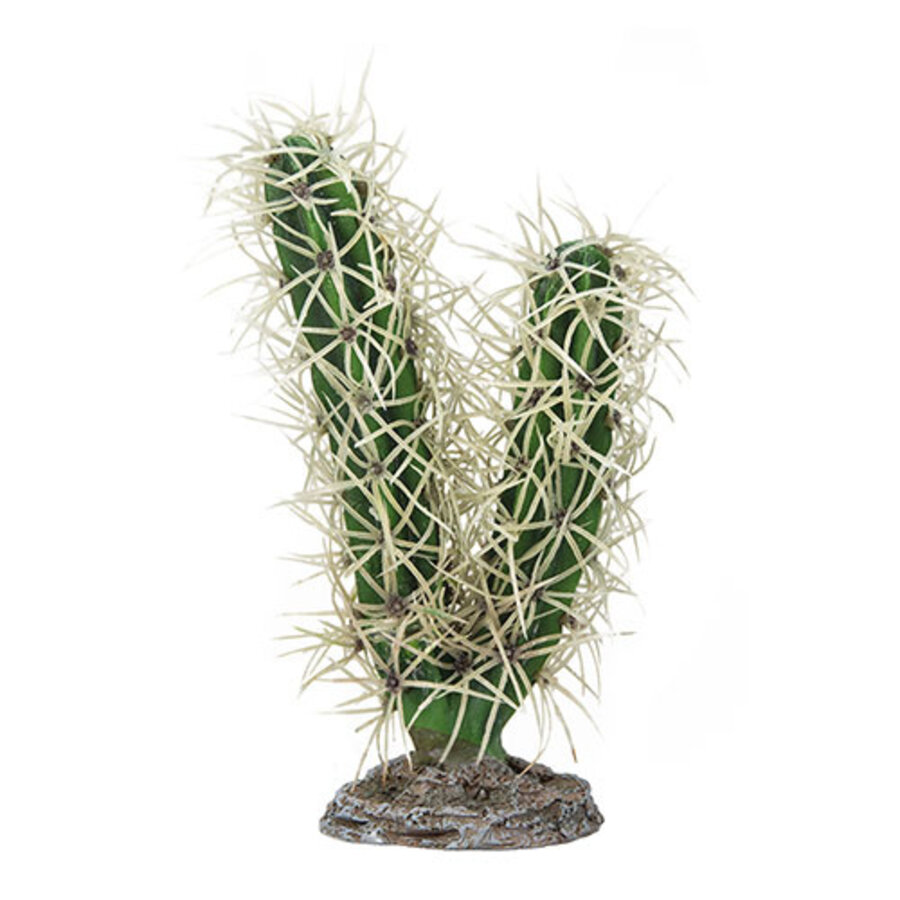 Terrano Cactus Simpson