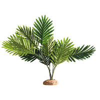 Terrano Palm/Palme