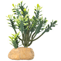 Terrano Euphorbia kunstcactus voor terrarium | maat M en L