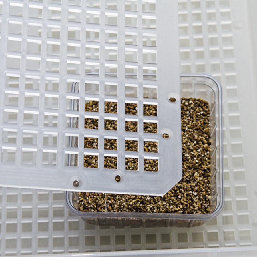 Easy Breeder digitale reptielen incubator 48x50x24 cm met ventilator