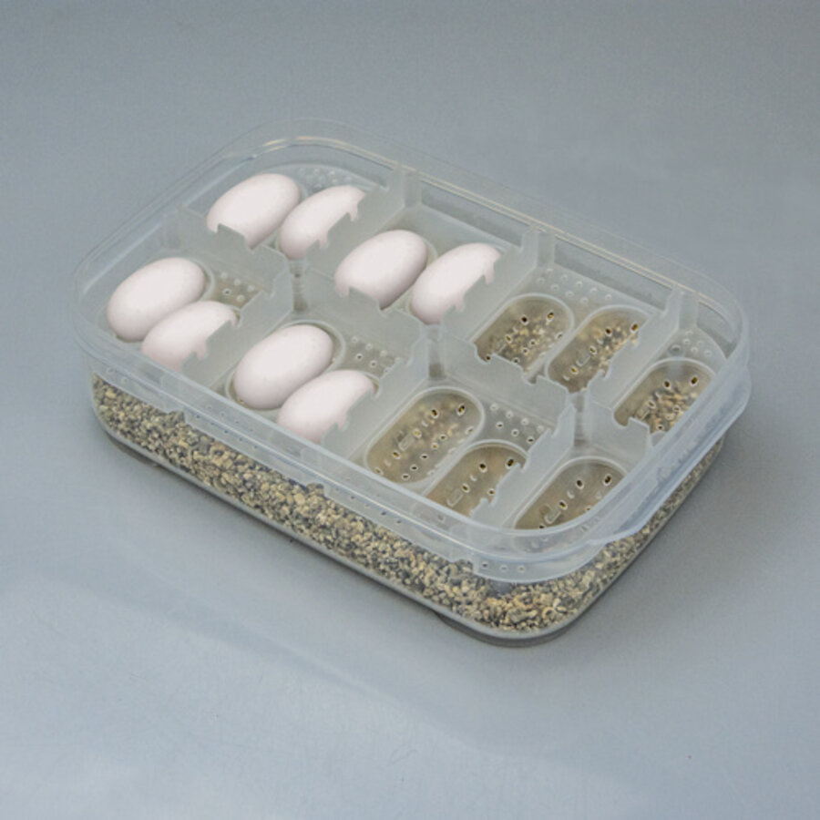 Easy Breeder Box broedbak voor reptieleieren 18x13x5 cm