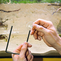 Cork Island drijvend zwemeiland voor schildpadden en amfibieën, maten S M L