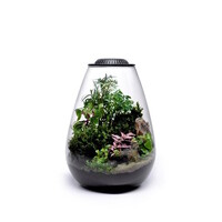 Bio Bowl 200 Black | 20 x 26CM