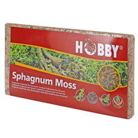 Terrano Sphagnum Moss 100 Gram