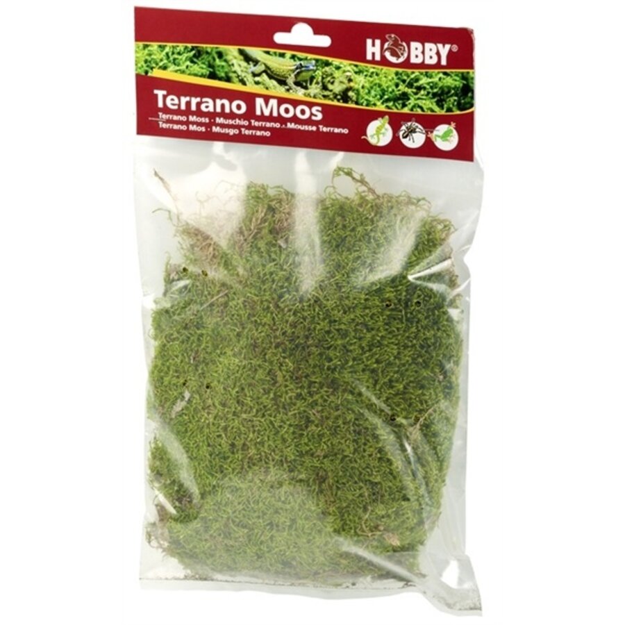 Terrano mosdecoratie 100 g veenmos op vlies voor terrarium