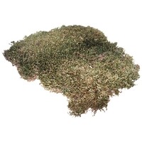 Terrano mosdecoratie 100 g veenmos op vlies voor terrarium