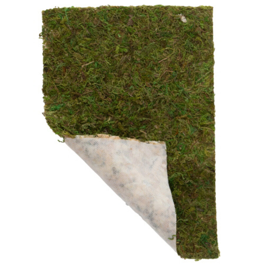 Terrano mosdecoratie 100 g veenmos op vlies voor terrarium