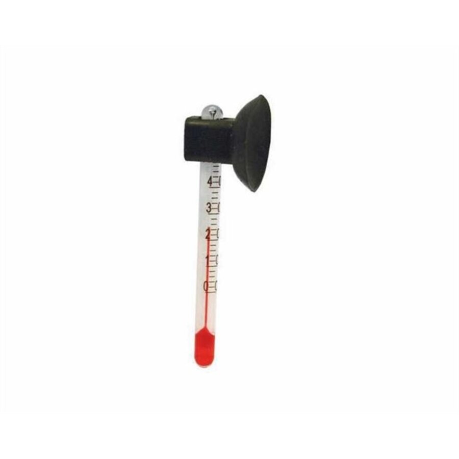 Nano Thermometer