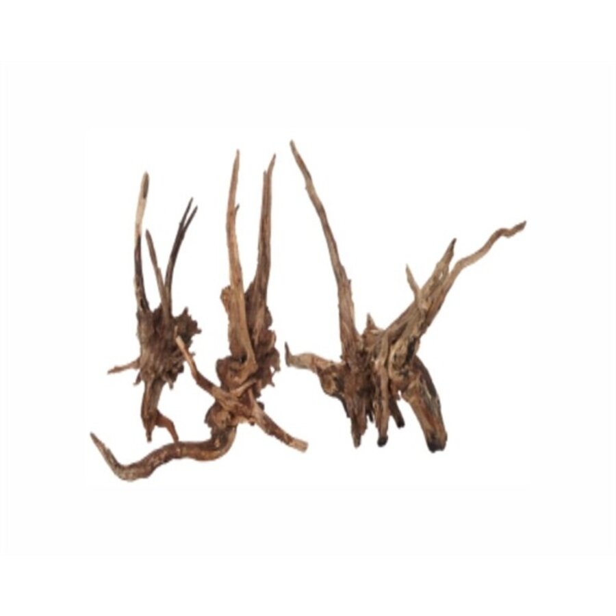 Smal donker decorhout 7-18 cm | 2 stuks voor aquarium en terrarium