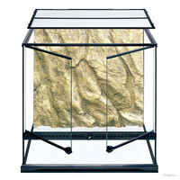 Glas Terrarium | 60 x 45 x 60CM