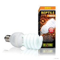 Reptile UVB150 Woestijnlamp