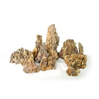 Dragon Rock aquariumsteen 5-12 cm | 0,6 kg | natuurlijke hardscape rots