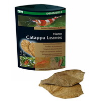 Nano Catappa Leaves | 12 stuks | natuurlijke waterverbeteraar en bladvoer voor garnalen