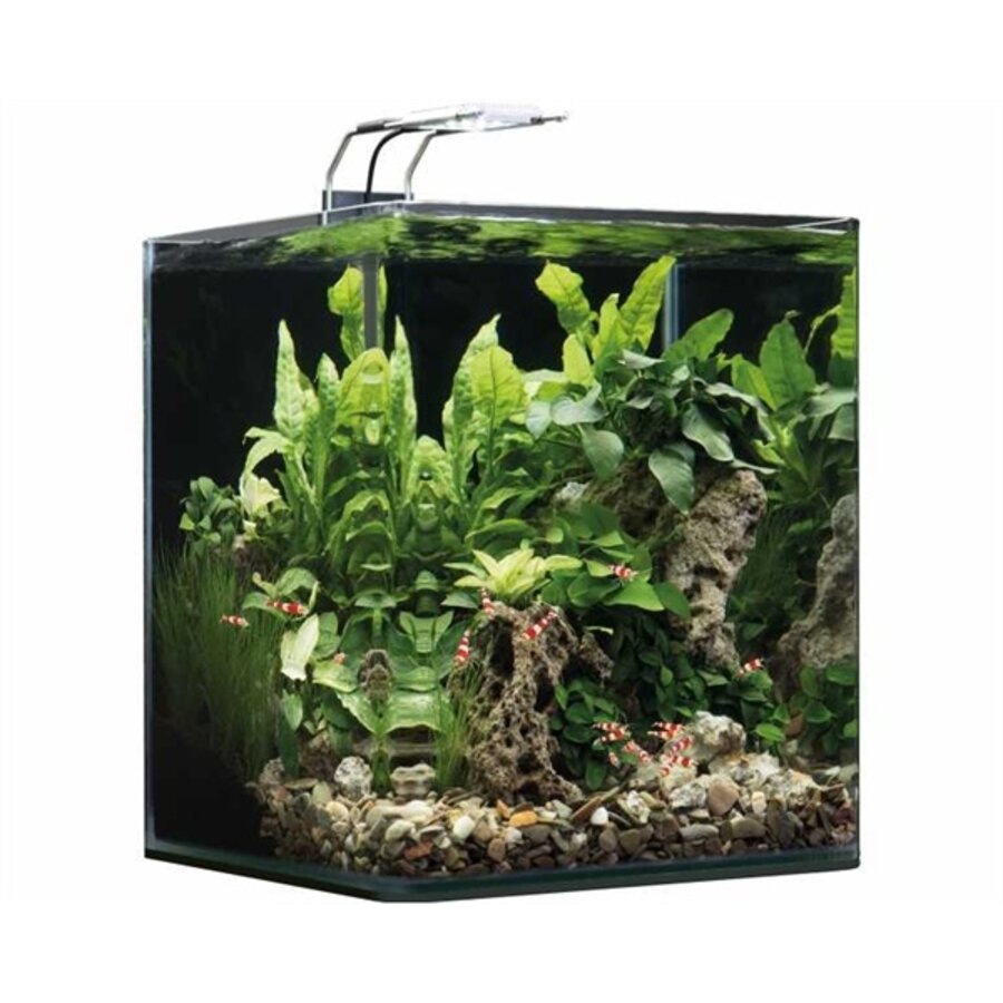 Nanocube Complete + Soil | 30L | 30 x 30 x 35 CM