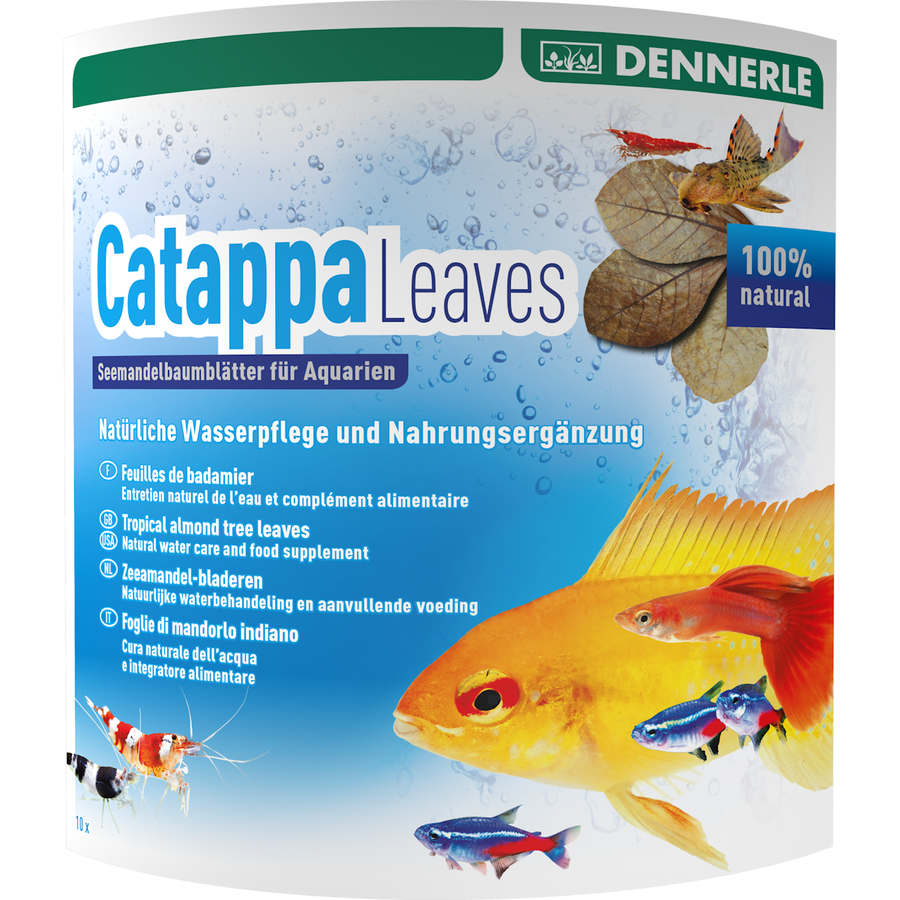 Catappa Leaves 10 Stuks - Voor 800 L